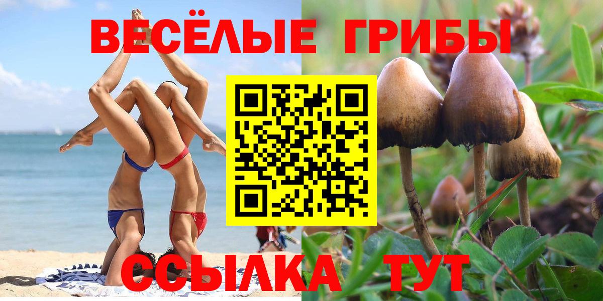 Псилоцибиновые грибы ЛСД Мичуринск