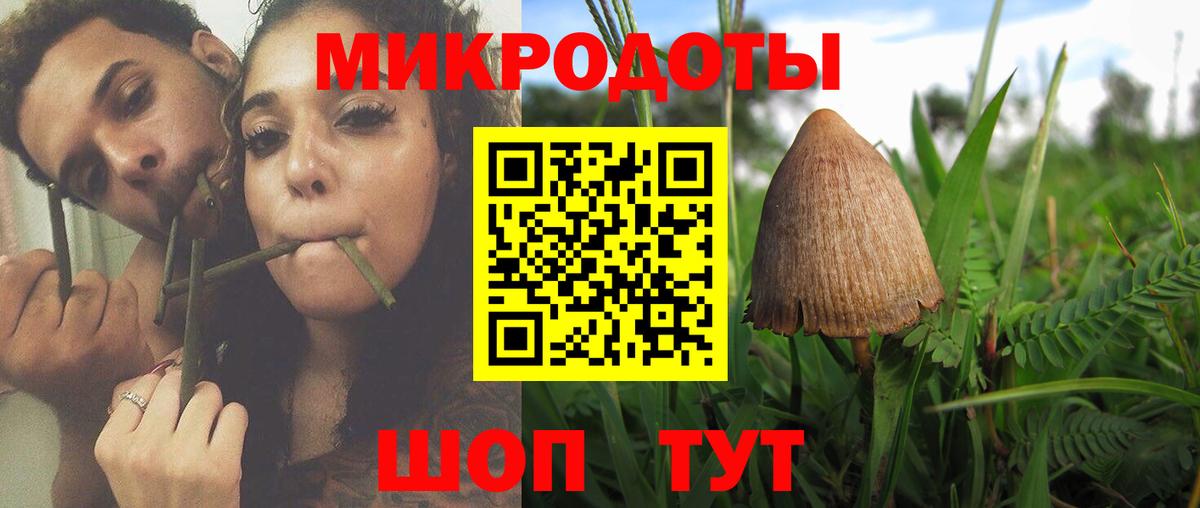 где купить наркотик  Вход с VPN  Мичуринск  Псилоцибиновые грибы Cubensis 